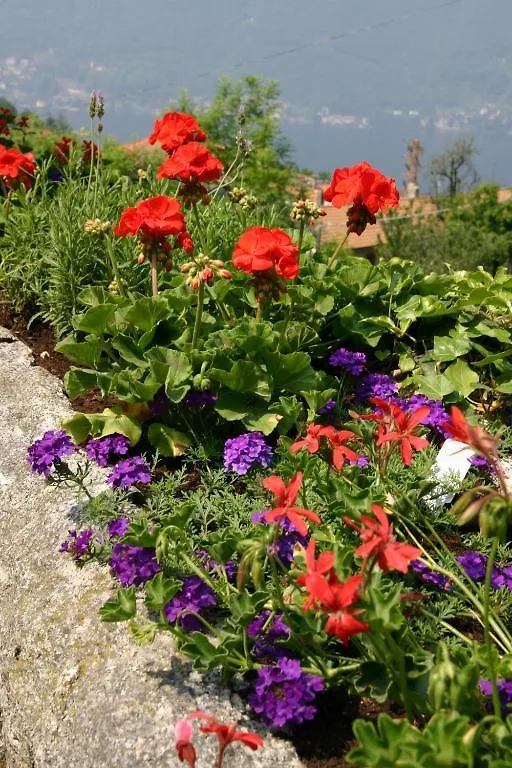 La Ruota Del Mulino Aparthotel Nesso