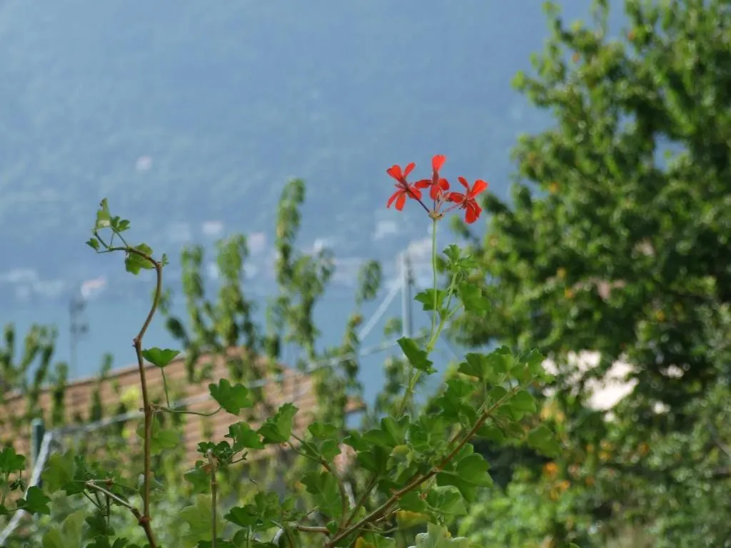La Ruota Del Mulino Aparthotel Nesso 0*,  Italy